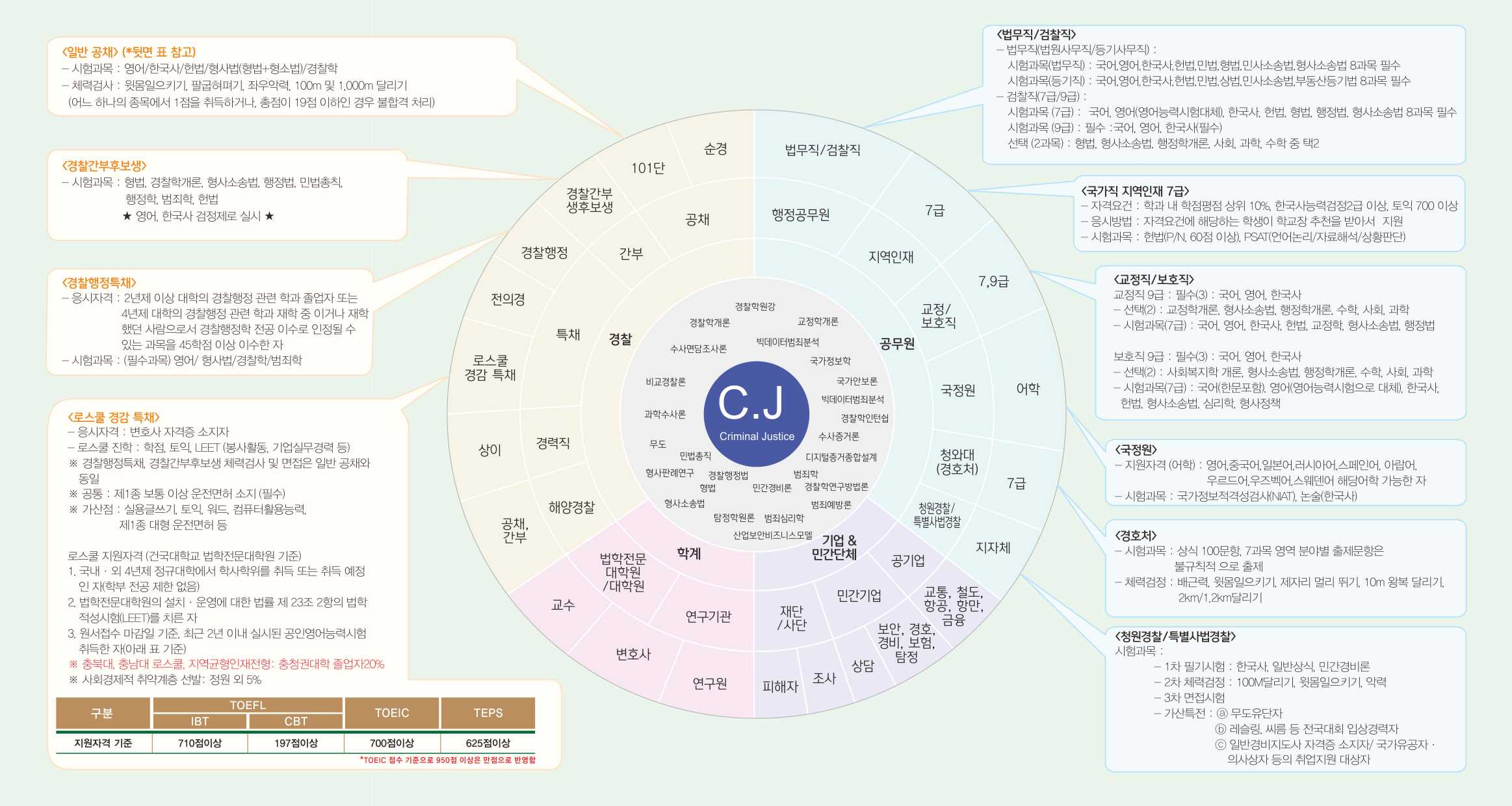 전공로드맵